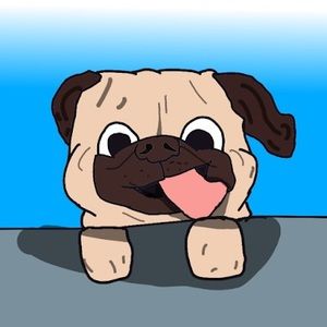 Meet your Posher, Happymealpug